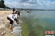 攸县云南江川举行增殖放流活动 逾54万尾鱼游入星云湖